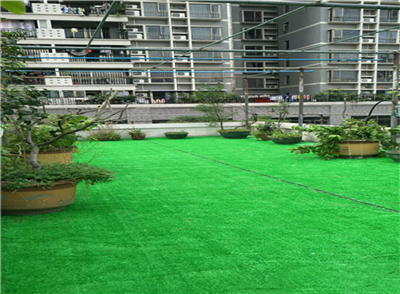 16801.jpg mtxx03.jpg