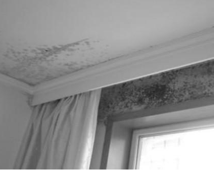 防水補(bǔ)漏 (2).jpg