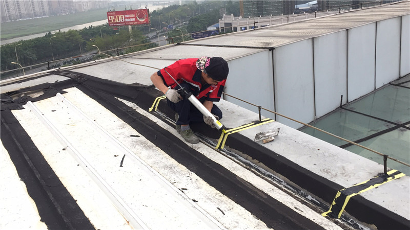 24641.jpg 微信圖片_102018.jpg