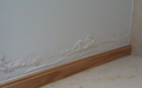 09870.jpg 墻面滲水.jpg